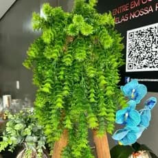 Planta Pendurada Verde Artificial Parede Folhagem Para Decora- SD801606