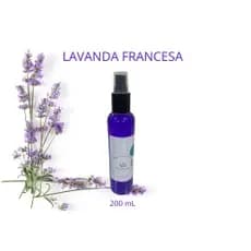 PERFUME PARA AMBIENTES - HOMESPRAY - LAVANDA FRANCESA