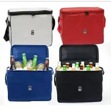 Bolsa Térmica para Bebidas: Cerveja, Refri 6 litros Pequena