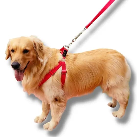 Coleira Peitoral e Guia com Amortecedor para Cachorro Grande Porte UzyPet Vermelha