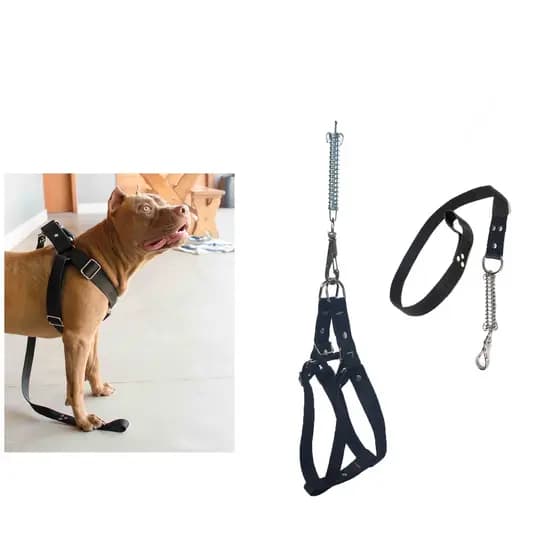 Coleira Para Cachorro Peitoral Com Guia Premium Pitbull Golden UzyPet