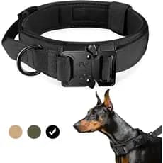Coleira para cães, nylon para treinamento ajustável fivela de metal pesado para cães  treinamento  caminhadas