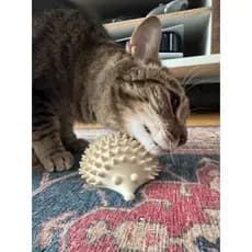 Coçador de Rosto para Gatos Massageador Escova Pet Interativo Brinquedo para Gato