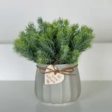 Arranjo de Verdinho com Vaso Nature Cinza