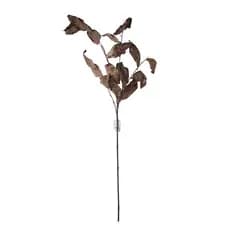 Haste Folhas de Protea Café 90cm