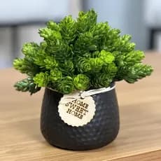 Arranjo de Verdinho com Vaso Home Sweet Home Preto
