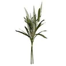 Ramalhete Sementes Creme 58cm