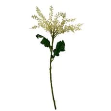 Haste Sementes Silvestres Bege 56cm