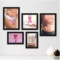 Quadros decorativos 5 peças - Ginecologista - Consultório Ginecológico - Mulher Visu = 67