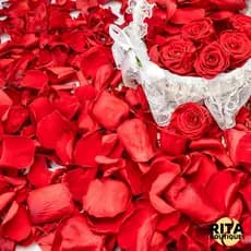 4000 Pétalas de Rosas Artificiais 1000 Pétalas Rosa Vermelha para Casamento Decoração de Festa e Mesa