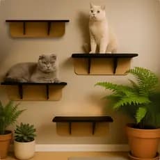 Kit Com 4 Prateleiras Mdf Cru Para Gato Brinquedo