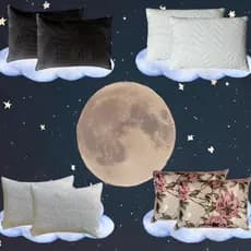 Travesseiro Premium Na Capa Nasa de Bamboo 200 Fios Varias Indeformavel Antialérgico Cheio