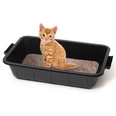Caixa De Areia Para Gato 22l Borda Alta Reforçada Grande