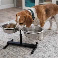 Comedouro Bebedouro Duplo Pote Ração Água Alto Ajustável Cachorro Pequeno