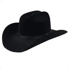 Chapéu Masculino Americano Country Cowgirl Rodeio Barretos Sertanejo