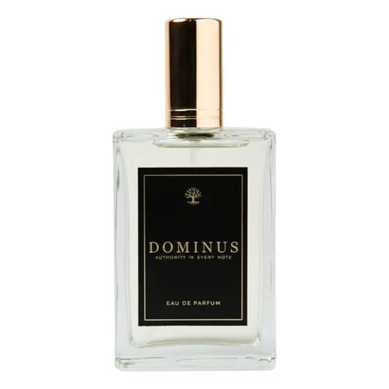 Perfume Masculino Dominus  Eau De Parfum Bluhen