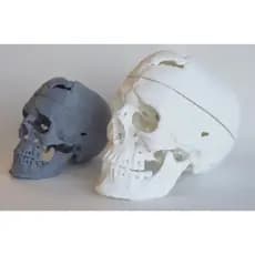 🧠 Phineas Gage | Peça Decorativa Histórica em Impressão 3D
