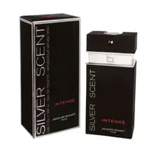 Perfume Primeira Linha do Silver Scent Importado