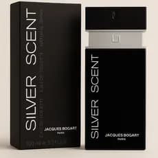 Perfume Silver Scent Masculino Ousadia Presença E Atitude