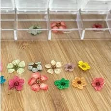 Flores Secas Naturais Nail Art – Encapsulamento e Decoração de Unhas