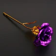 A Rosa Encantada Golden Rose Flores decoração Lilás