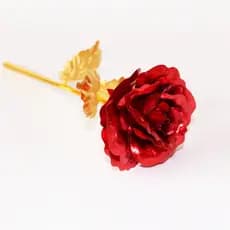 A Rosa Encantada Golden Rose Flores Amor Lindo Vermelha