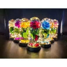 Luminária A Rosa Encantada A Bela e A Fera / O Pequeno Príncipe Amor Lindo Boutique Luzes de Fadas
