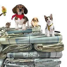 Papel Jornal Fardo De 10kg Pacote Limpo Folhas Gigantes Pet Tapete Cachorro Gatos Pássaros