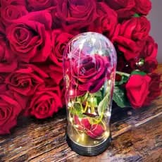 Luminária A Rosa Encantada A Bela e A Fera / O Pequeno Príncipe Presente para namorada