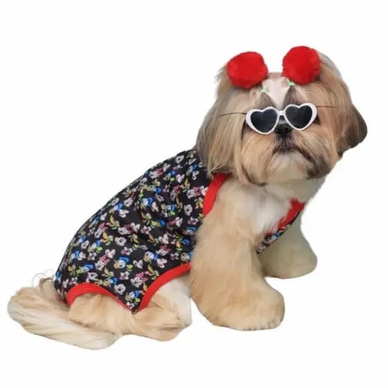 Roupa Pet Biquini Maio Personagens moda Praia Tecido Neoprene fantasia piscina banho