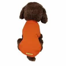 Roupa Pet camisa Laranja neon com Proteção Solar UV50+ camiseta protetor sol passeio calor verão