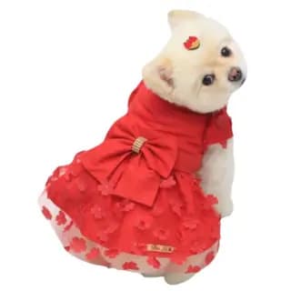 Roupa Pet Vestido Floral Vermelho branca de neve fantasia laço festa cachorrinha princesa
