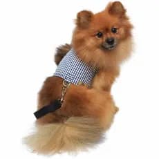 Coleira Peitoral Pet com cão Guia Xadrez Azul roupinha passeio