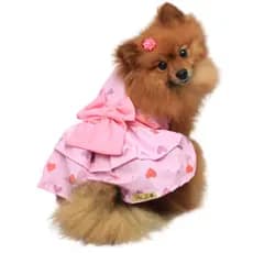 Roupa Pet Vestido Katarina rosa claro corações laço delicada princesa cahorrinha roupinha