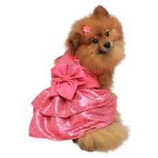Roupa Pet  Vestido Enide rosa pink laço babados godê rodado princesas cachorra femea feminino