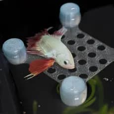 Cama Flutuante para Peixes Pequenos Betta Toca Esconderijo  | Aquário Aquarismo Decoração Descanso  Praticidade