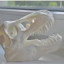 CRANIO CABEÇA T-REX ENFEITE MESA PATOLOGIA