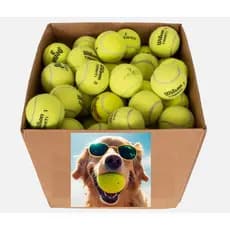 Bolinhas de Tênis Recicladas para cães Pet Ecológico, seguro e divertido