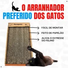 Brinquedo Pet Arranhador Interativo Para Gatos Rampa com 2 Bolinhas Exclusivo