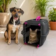 Caixa de Transporte Pet Cachorros Cães Gatos Coelhos Portinha de Aço Ferro