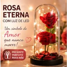 (2 Flores) Rosa Vermelha Grande Eterna Com Luz LED Em Cúpula Decoração Romântica Presente Dia das Mães ❤️