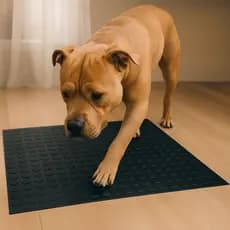 Tapete Pet para Cachorros Antiderrapante | Piso Pet Displasia
