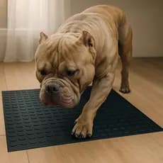 Tapete Pet para Cachorros Antiderrapante | Piso Pet Displasia