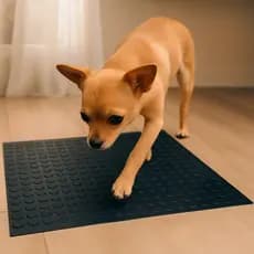Tapete Pet para Cachorros Antiderrapante | Piso Pet Displasia