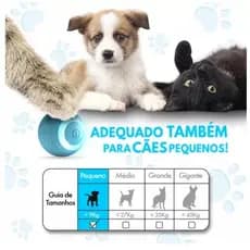 Brinquedos espertos do gato do rolamento automático dos brinquedos bondes da bola do gato para o treinamento dos gatos b