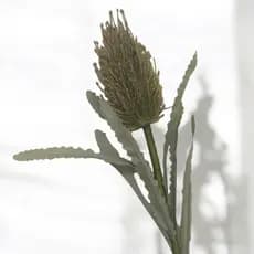 Haste Banksia 70CM Flores Plantas Artificias Decoração - VF40358