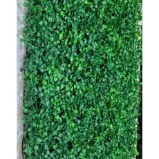 kit com 4 Muro inglês de buchinho verde  40x30 cm