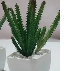Cacto Artificial C/ vaso (P/G)