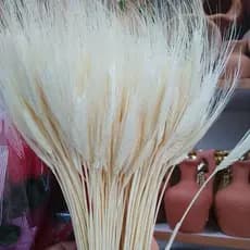 trigo artificial
