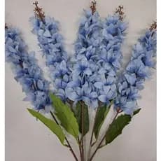 Galho alto Plumeria